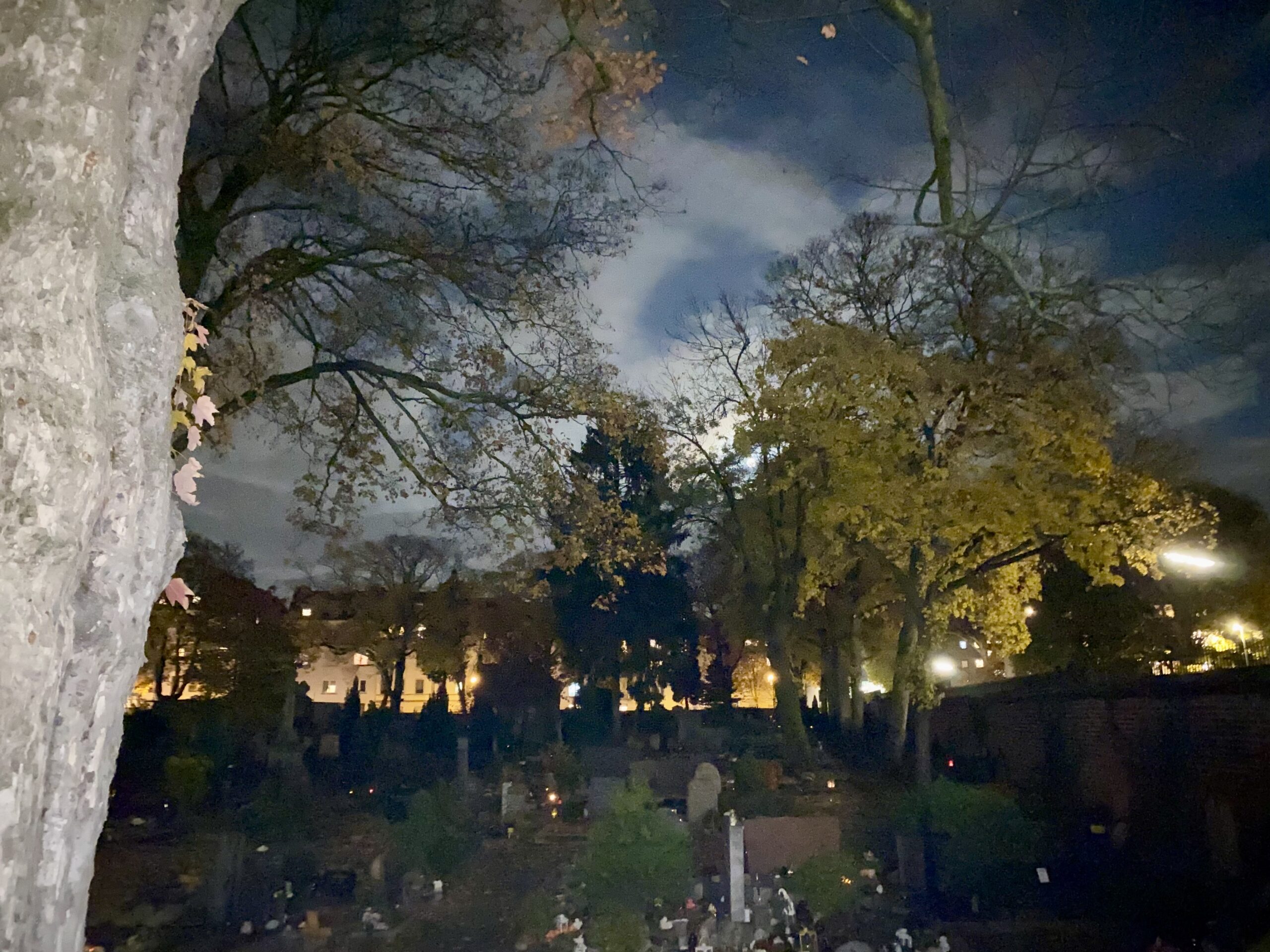 Mehr über den Artikel erfahren Offizielle Bekanntmachung zur neuen Friedhofssatzung