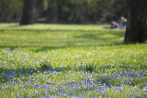 Mehr über den Artikel erfahren Einladung | Ökumenischer Trinitatisgottesdienst im kleinen Ratspark | Sonntag, 15.06.2025 um 11 Uhr