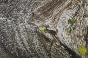 Mehr über den Artikel erfahren Einladung | Vernissage Ausstellung Edmund Lichtenfels | 12.09.2025 um 19:30 Uhr | Friedenskirche